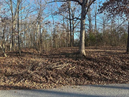 21 Wagon Creek Loop, Creal Springs, IL, 62922 | Card Image