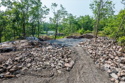 0 Fire Rte, Trent Lakes, ON, K0M1A0 | Card Image