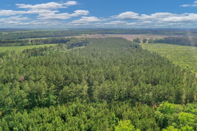 DJI_0691 | Image 22