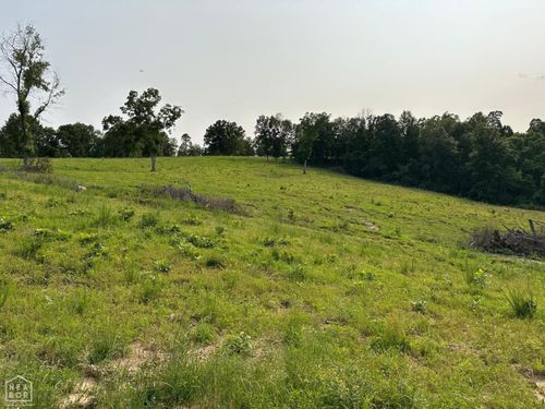 1 Marion County 5014, Everton, AR, 72633 | Card Image