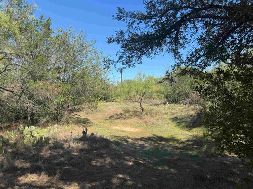 TBD Concho Trail, Kingsland, TX, 78639 | Card Image
