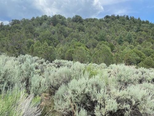 HWY 196 Amalia, Amalia, NM, 87512 | Card Image