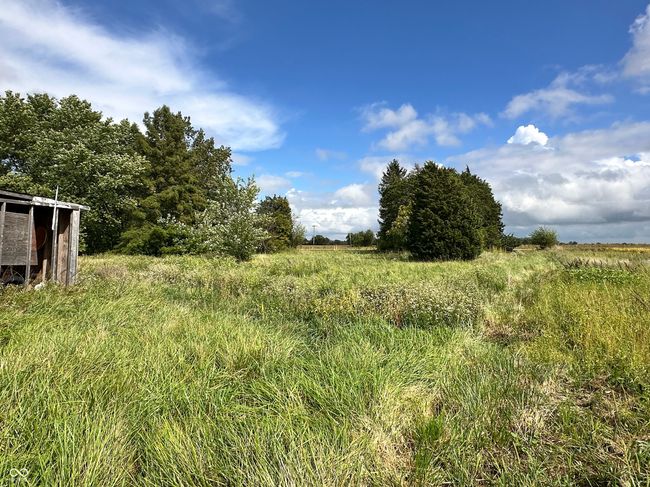 2996 N Us Highway 421, Home with 0 bedrooms, 0 bathrooms and null parking in Whitestown IN | Image 20