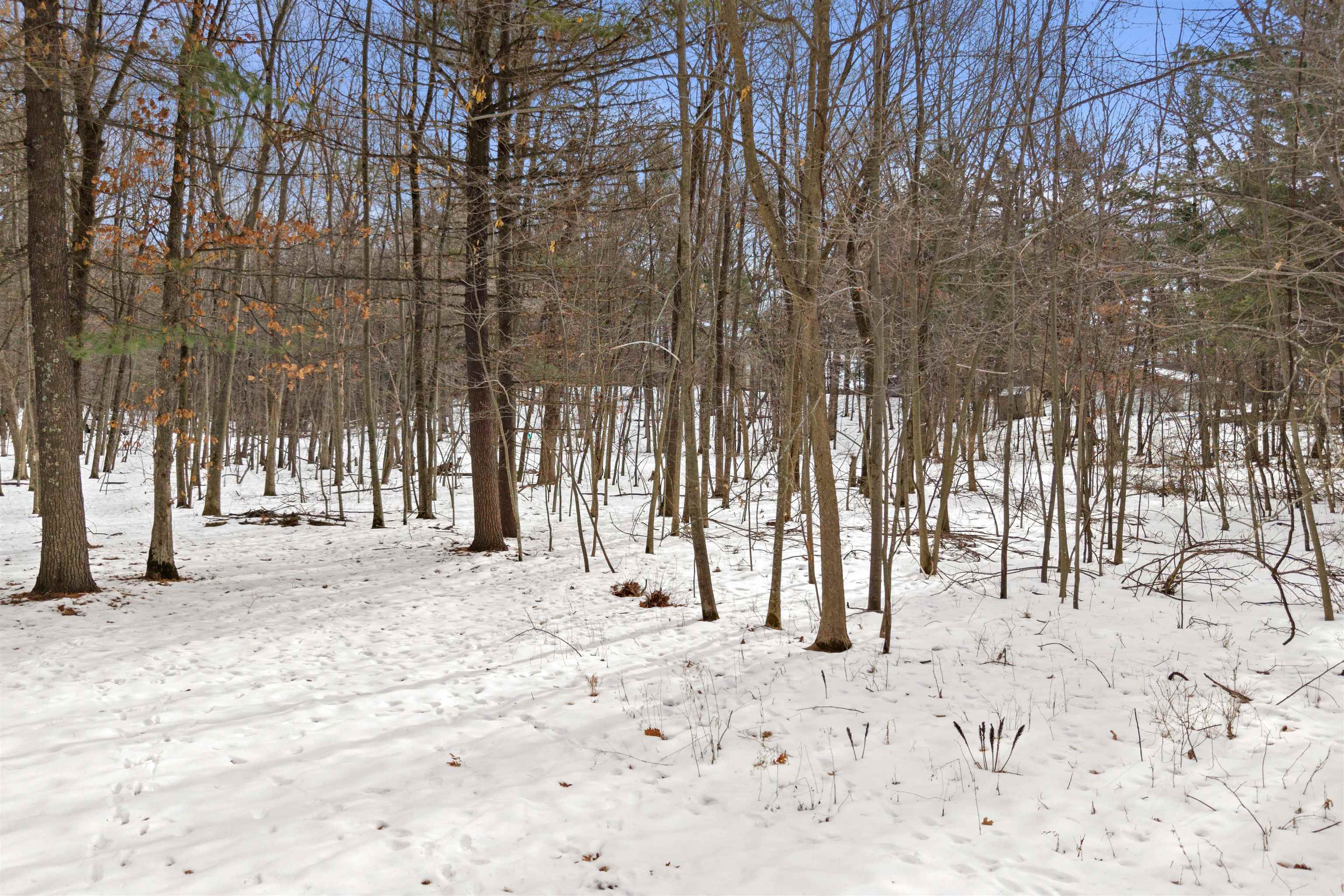 Land in Monroe 3