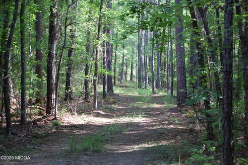00 Hays Farm Rd, Musella, GA, 31066 | Card Image