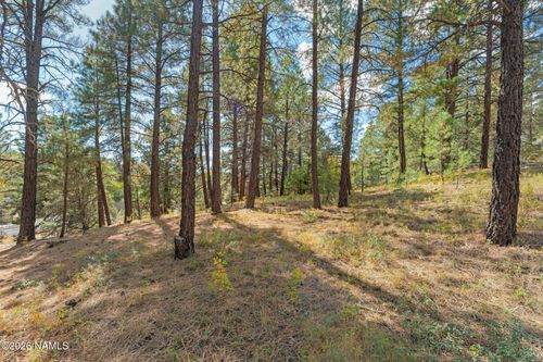 3407 S Litzler Dr, Flagstaff, AZ, 86005-8953 | Card Image