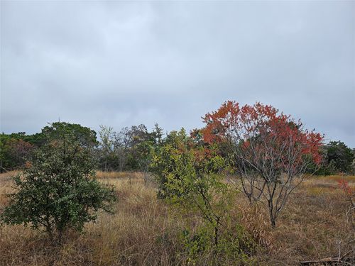 TBD Private Road 1212, Kopperl, TX, 76652 | Card Image