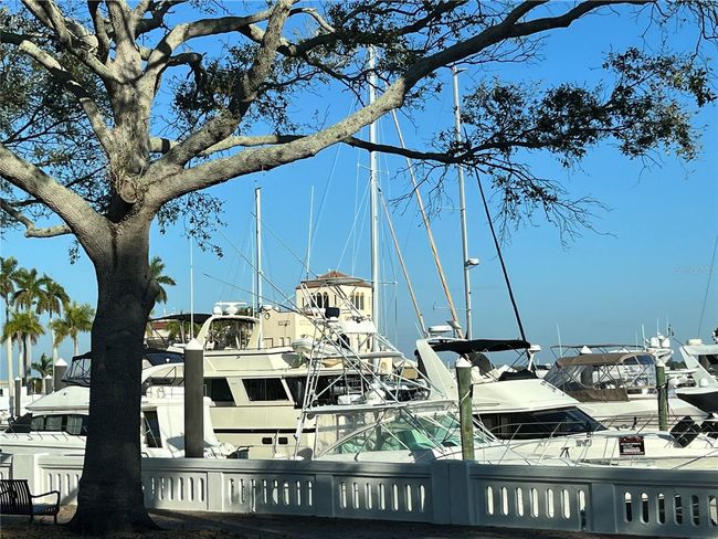 Riverwalk area - Bradenton | Image 53