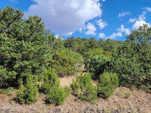 Lot 10 Spruce Ln, Eagar, AZ, 85925 | Card Image
