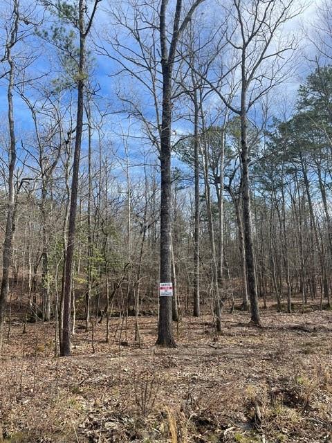 Land in Broken Bow 2