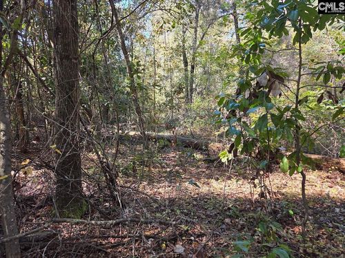 17 Five Bridge Rd, Camden, SC, 29020 | Card Image