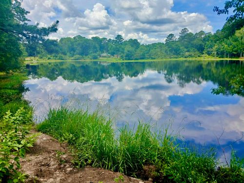 36 Breddell Ct, Walterboro, SC, 29488-8221 | Card Image
