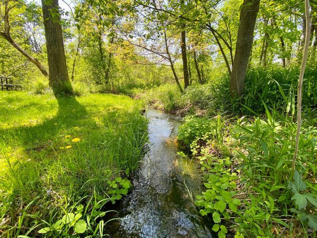Misner creek.jpg | Image 31