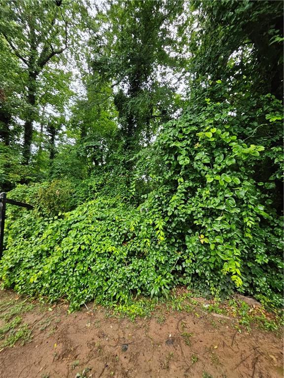 Land in Decatur 2