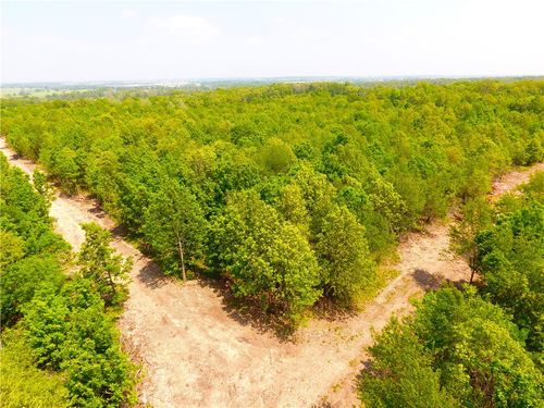 3 Bluebird Lane, Southwest City, MO, 64863 | Card Image