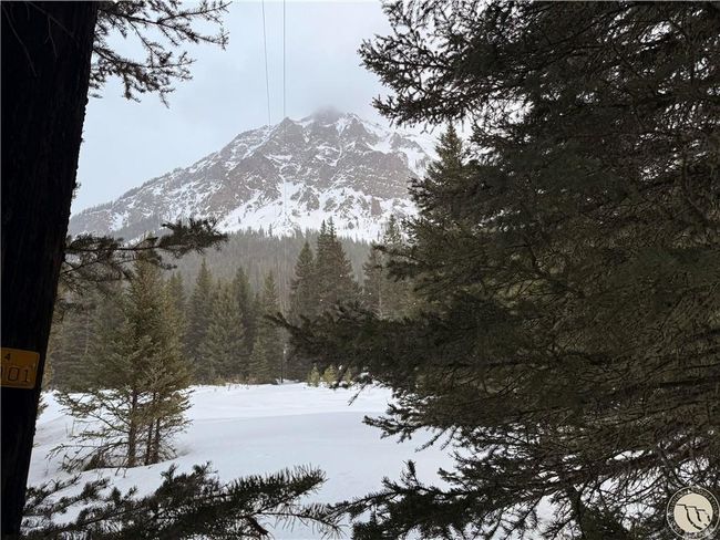 C 10 Basting Tracts, Home with 0 bedrooms, 0 bathrooms and null parking in Cooke City MT | Image 7