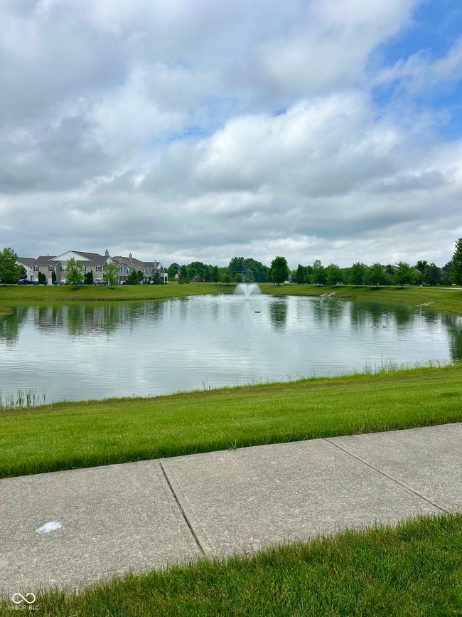 water views in various locations | Image 20