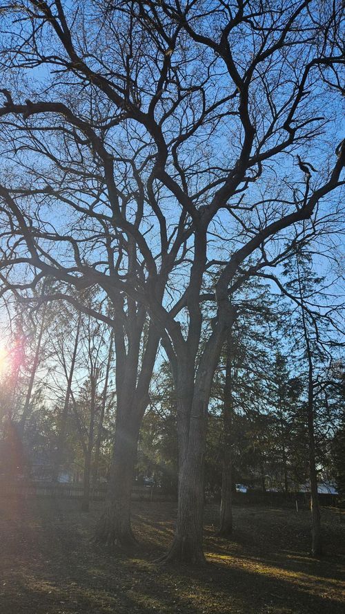 5920 Hodgson Rd, Shoreview, MN, 55126-4671 | Card Image