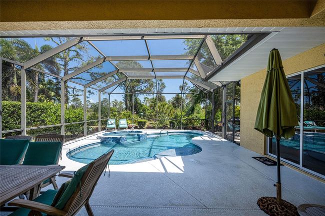 Your private heated pool with a lush green Florida park backdrop! | Image 4