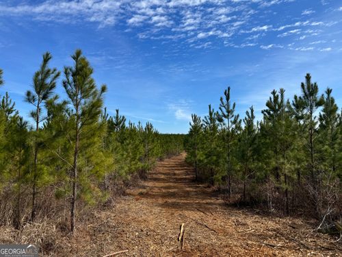 018 Dozier Rd, Ellaville, GA, 31806-1748 | Card Image