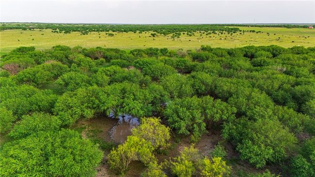 00 Fm 534 & Fm 3162, Home with 0 bedrooms, 0 bathrooms and null parking in Sandia TX | Image 23