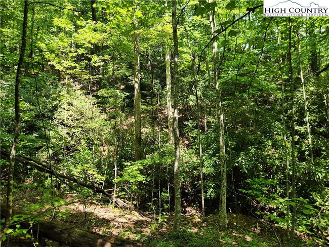 25 - 301 Bear Track Ln, Home with 0 bedrooms, 0 bathrooms and null parking in Lenoir NC | Image 25