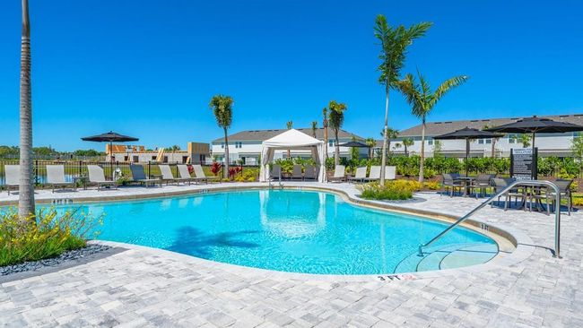 The Townhomes at Azario Lakewood Ranch Community Amenities | Image 17