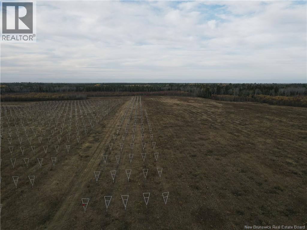 Land in Sainte-Anne-De-Kent 4
