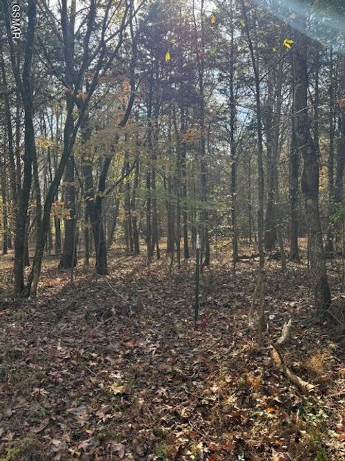 1031 Meadow Ct, White Pine, TN, 37890 | Card Image