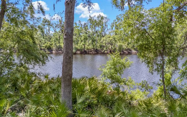 24042 114 Th St, Home with 0 bedrooms, 0 bathrooms and null parking in Live Oak FL | Image 5