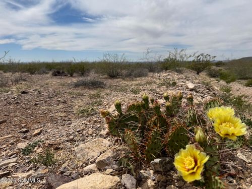 TBD Hardrock Rd, Las Cruces, NM, 88011 | Card Image