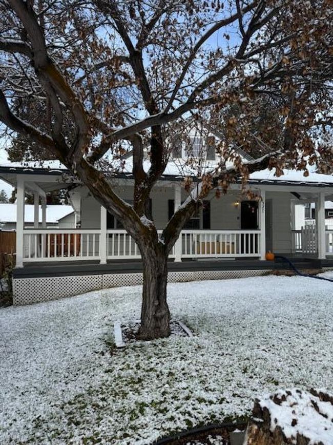 First snow fall | Image 37