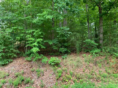 314 Ootsima Lane, Loudon, TN, 37774 | Card Image