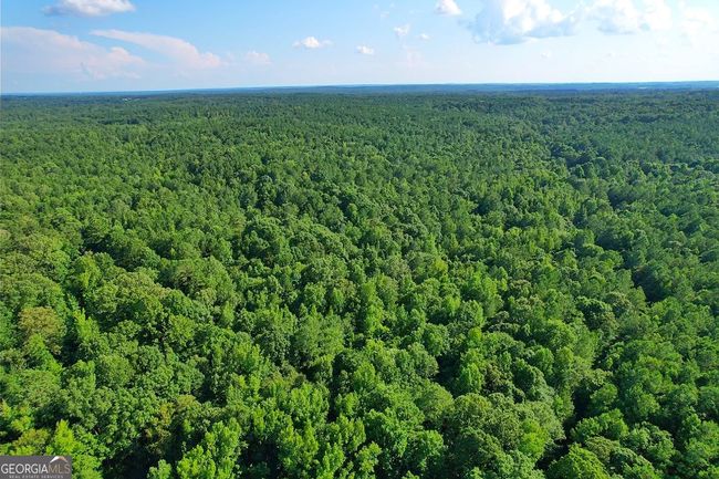 198.62+/- ACRES Apalachee Woods Trl, Home with 0 bedrooms, 0 bathrooms and null parking in Buckhead GA | Image 15