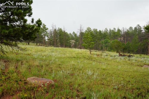 308 Chapparal Trl, Florissant, CO, 80816-8111 | Card Image