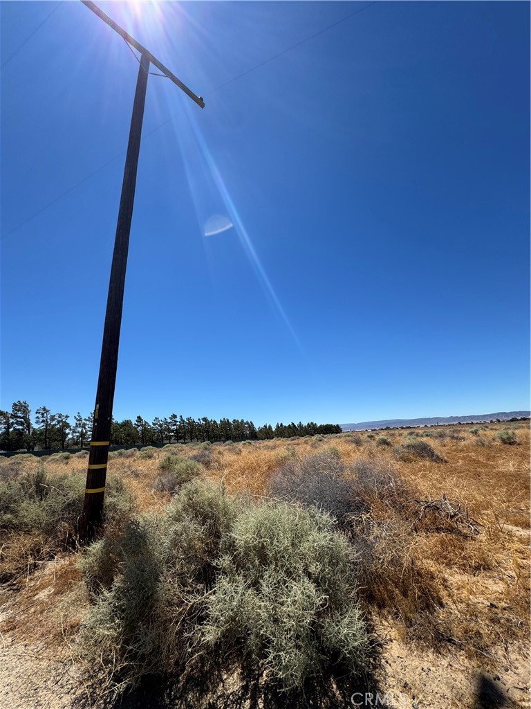Land in Antelope Acres 5