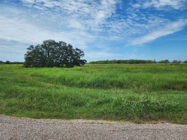 16410 Majestic Oaks Dr, Home with 0 bedrooms, 0 bathrooms and null parking in Rosharon TX | Image 8
