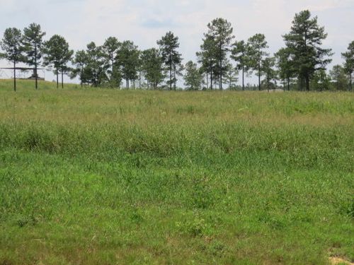8 Jo Rd, Ellisville, MS, 39437-4503 | Card Image