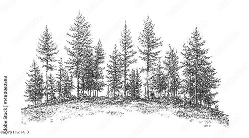 0 Longview Drive E, Wilson, NC, 27893 | Card Image