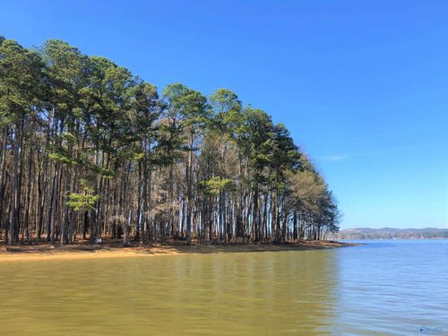 Lot 5 Little River Landing, Cedar Bluff, AL, 35959 | Card Image