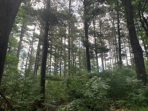 2235 Beaver Ave, Arkdale, WI, 54613 | Card Image