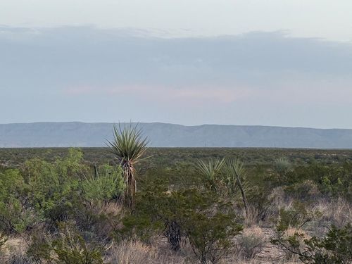 0000 Valley View Rd, Dryden, TX, 78851 | Card Image