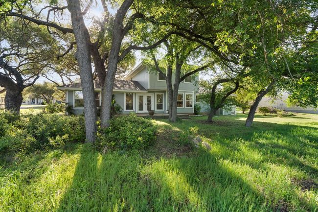 Many large oaks | Image 22