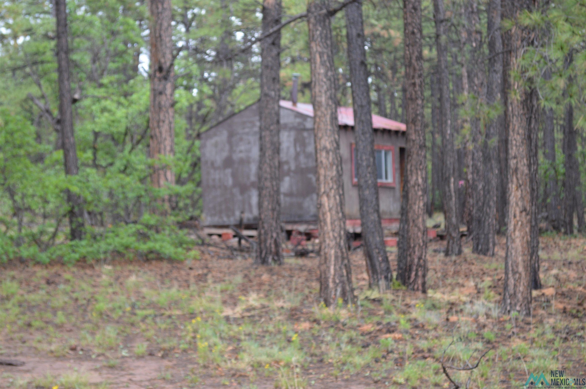Land in Mcgaffey 4