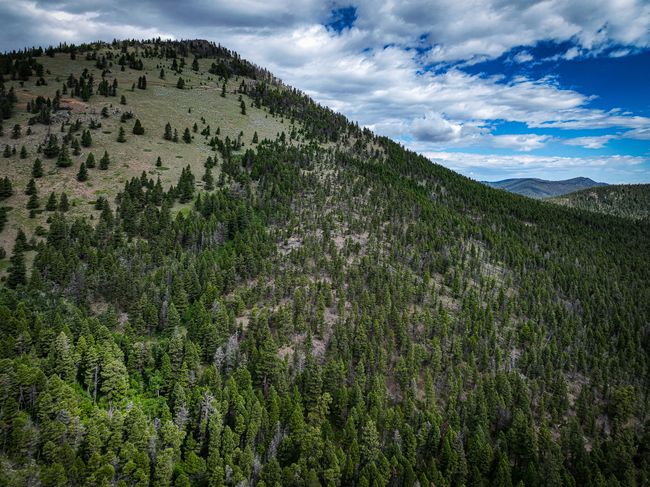 4540 Denton Gulch Rd, House other with 2 bedrooms, 1 bathrooms and null parking in Wolf Creek MT | Image 7