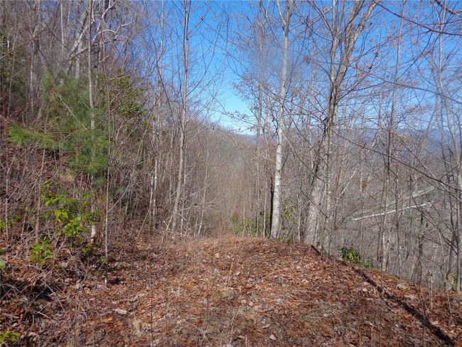 7 Plain View Rdg, Home with 0 bedrooms, 0 bathrooms and null parking in Sylva NC | Image 8