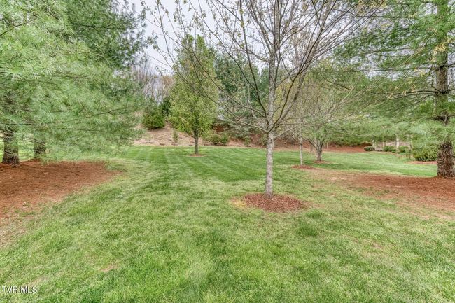 94 Cypress Ridge Ct, House other with 4 bedrooms, 3 bathrooms and null parking in Jonesborough TN | Image 49