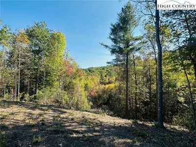 Lot 21 High Forest Trail, Home with 0 bedrooms, 0 bathrooms and null parking in Deep Gap NC | Image 2