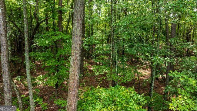 1953 Bishop Rd, Home with 3 bedrooms, 3 bathrooms and 2 parking in Luthersville GA | Image 67