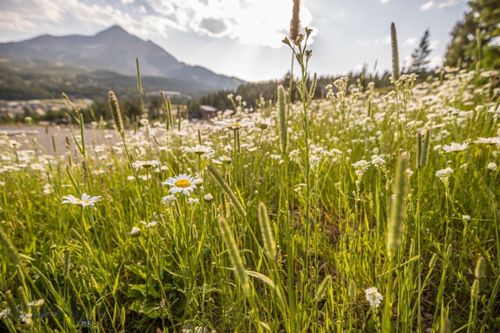 23 Washaki Rd, Big Sky, MT, 59716 | Card Image